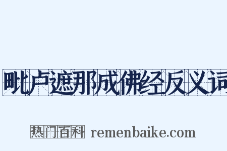 毗卢遮那成佛经反义词是什么意思的图片
